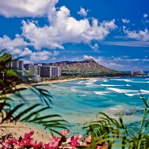  Apartment Ocean View Escape, Steps To & Free Parking!